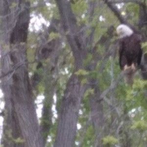 Meet your Posher, Doug